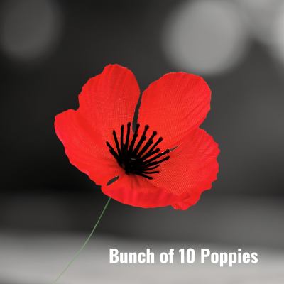 Poppies (BUNCH OF 10)